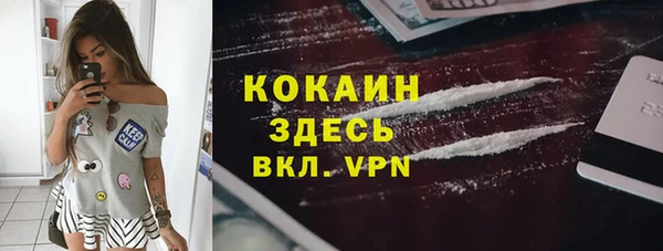 спиды Новодвинск