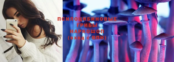 трава Арсеньев