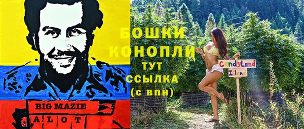 спиды Новодвинск